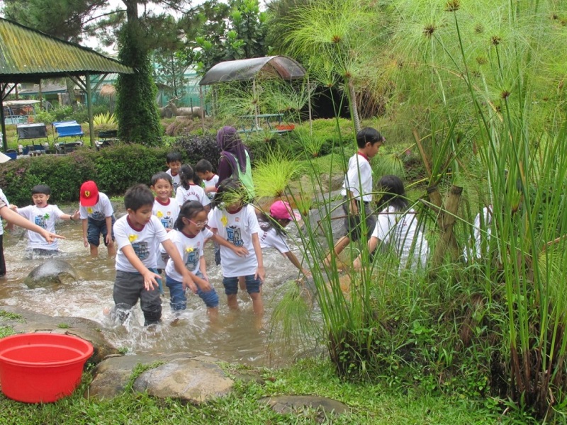 Jendela Alam Lembang, Wisata Menarik Bandung