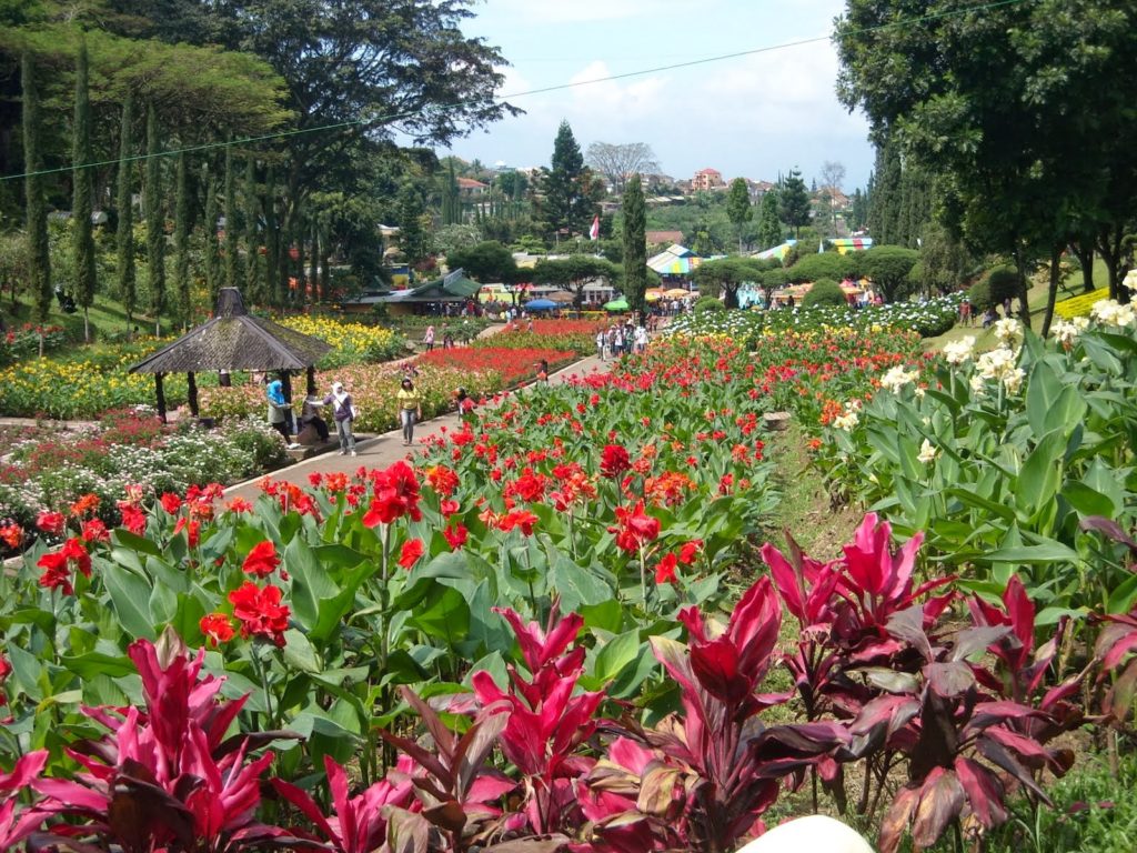 Taman Bunga Lembang yang Cantik