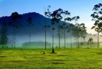 tempat wisata di ciwidey yang baru