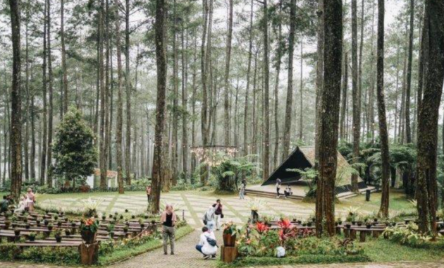 orchid forest cikole